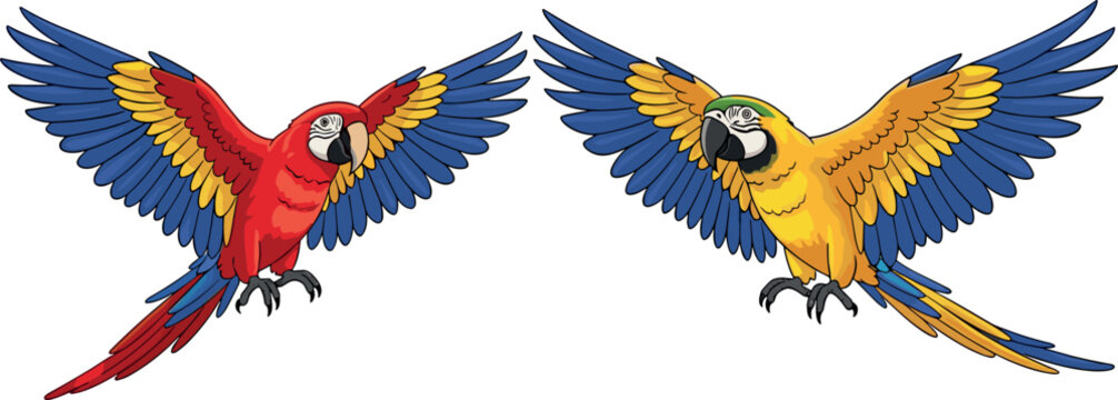 Colorful macaw parrot vector set with flying tropical birds blue yellow and red winged illustrations