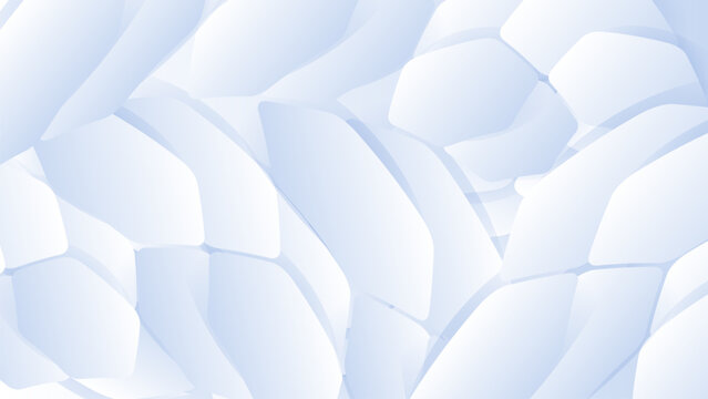 Abstract geometric shapes in soft white tones. Pattern features gentle curves and subtle gradients