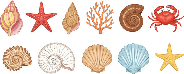 Sea Shell and Marine Life Vector Collection Featuring Nautilus, Conch, Scallop, Starfish, Coral, and Red Crab for Nautical Coastal and Beach Themed Designs © MdRoni