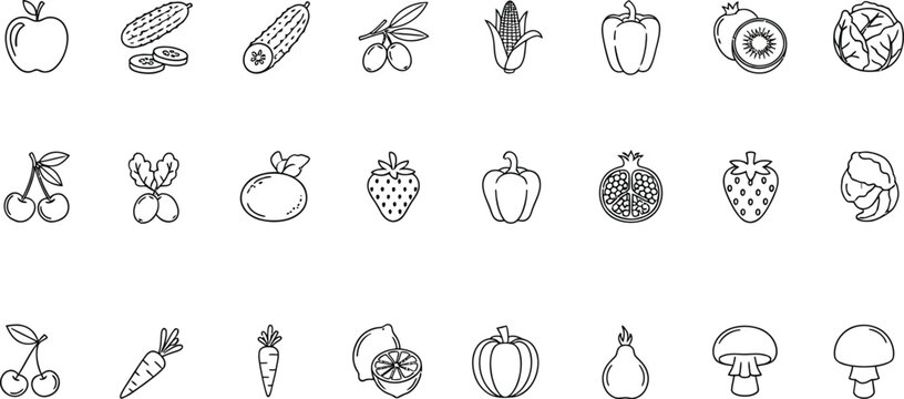 Collection of diverse hand drawn insect and creature sketches