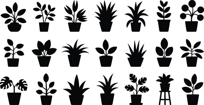 Collection of houseplant silhouettes in ceramic pots isolated on white background for interior decoration gardening and nature themed graphic design.