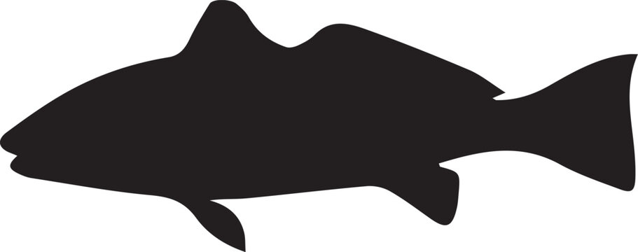  Red Drum Fish silhouette vector art white background