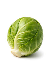Fototapeta premium Fresh green cabbage isolated on white background