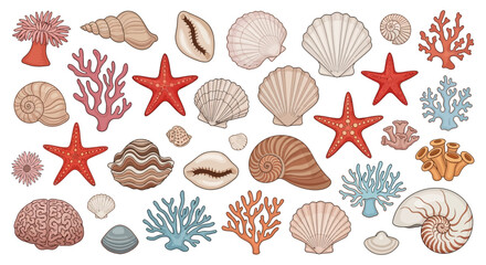 Assorted Seashells and Starfish Collection On White. © bestrivaldo