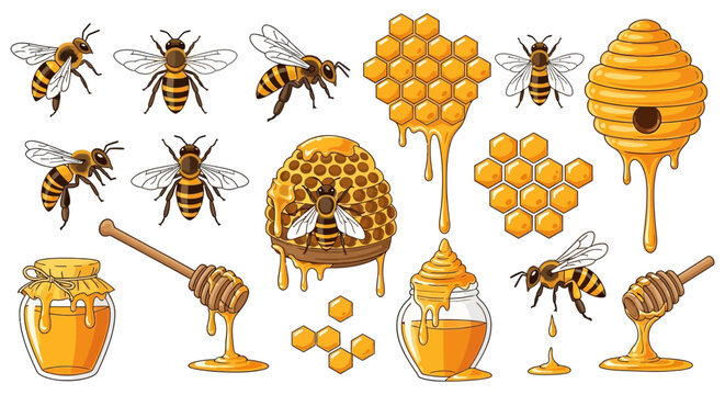 Honeybees With Honeycomb And Beehive Collection.