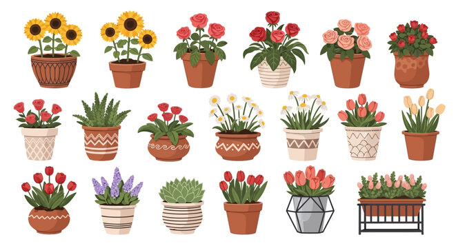 Assorted potted flowers and plants collection.