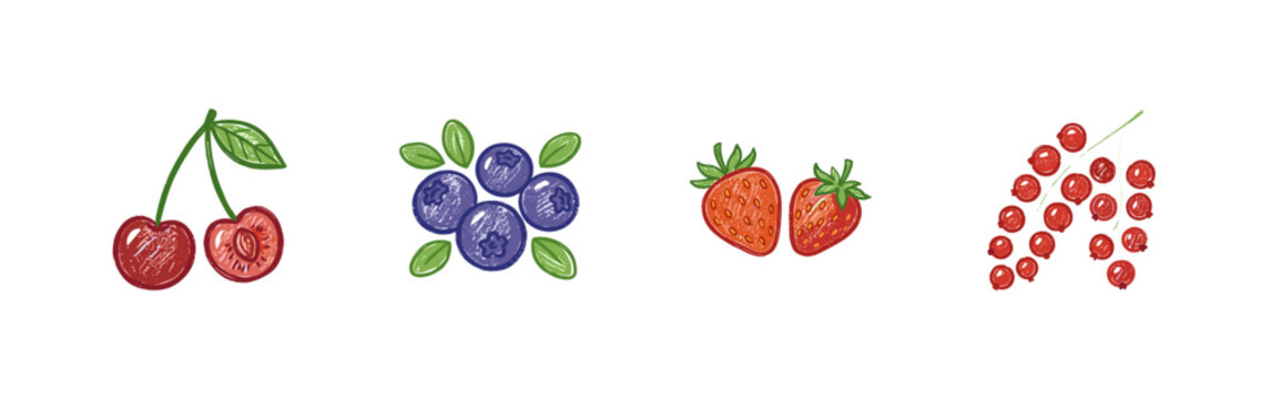Fresh Berry and Fruit Garden Harvest Labels with Colorful Crayony Pencil Texture and Organic Colorful Textures