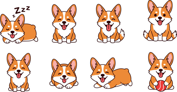 Cute corgi dog cartoon vector set with different poses sleeping sitting playing and happy puppy expressions collection