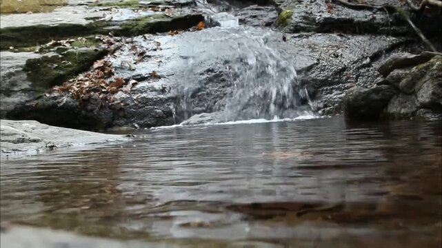 A small waterfall cascades over mossy rocks into a clear pool, creating a serene and natural scene, with fallen leaves adding to the tranquil atmosphere.