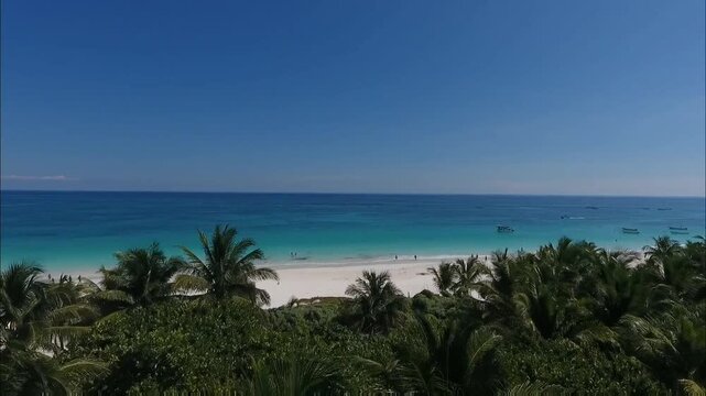 Turquoise waters meet a white sandy beach, framed by lush green palm trees under a clear blue sky, creating a tropical paradise scene.