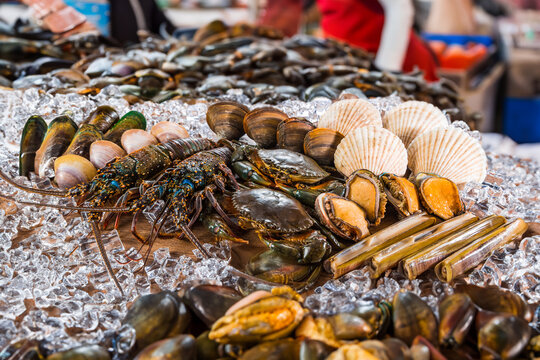 Fresh seafood on ice market display