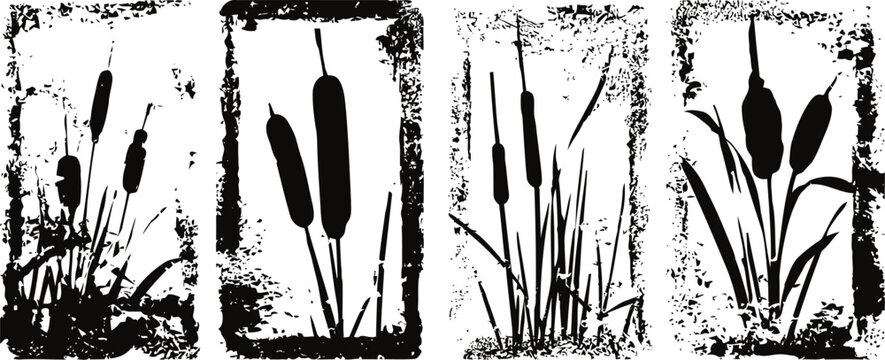 Silhouette of cattails and marsh plants in grunge textured frames set