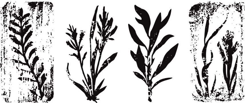 Vintage botanical silhouettes black and white grunge plant leaves set nature floral rustic design elements
