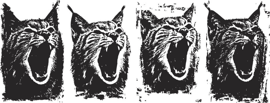 Four roaring wild cats in black ink on white background fierce animal expression, wildlife predator portrait set