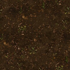 Seamless Overhead Soil Ground Texture with Leaves and Small Plants Detail © Volks