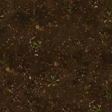 Seamless Overhead Soil Ground Texture with Leaves and Small Plants Detail