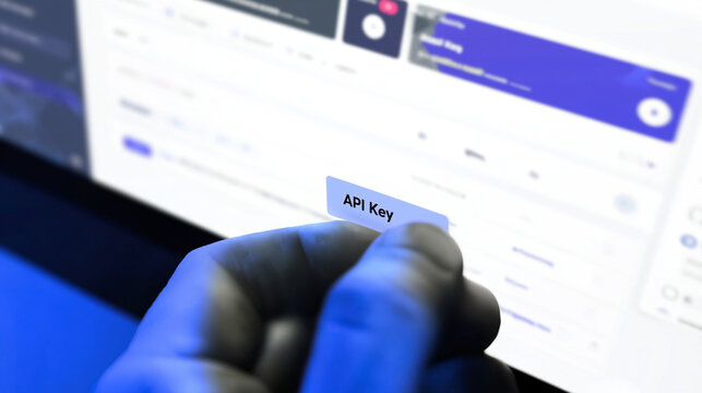 API Key and Cybersecurity in Modern Software Development: Enhancing Digital Security with Programming Tools and Secure Network Access