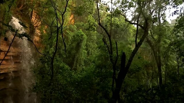 A lush, green forest scene features a cascading waterfall on the left, with dense foliage and trees creating a serene and natural environment.