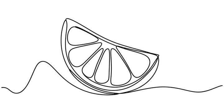 Single line continuous drawing of a fresh citrus lemon or orange fruit slice wedge on white background. Vector, illustration