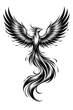 A powerful black and white illustration of a phoenix with spread wings and a long flowing tail on a white background