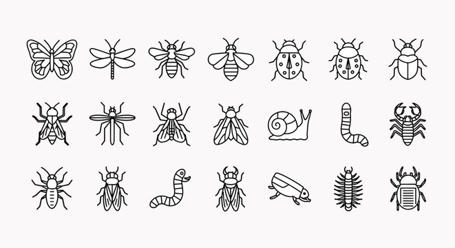 Collection of vector line art icons representing various insects and arthropods, isolated on a white background