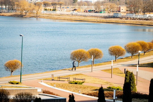 Sunny early spring lakeside urban park