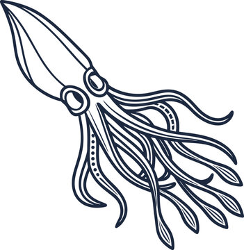 Detailed squid illustration with long tentacles and large eyes in black and white line art