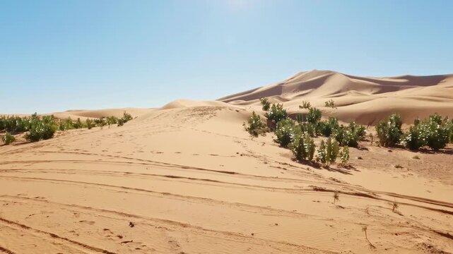 Majestic orange sand dunes of erg chebbi in the sahara desert near merzouga, morocco. Tire tracks and footprints mark the hot, arid terrain