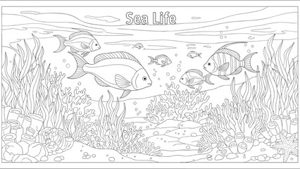 Obraz premium Coloring book page titled sea life showing an underwater scene with various fish coral reef and seaweed in a detailed outline style.
