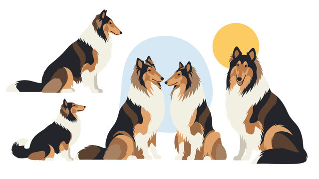 Collection of various rough collie dogs sitting and looking forward with decorative sun and arch backgrounds on white backdrop.