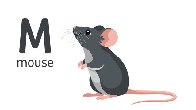 Simple alphabet learning illustration showing a small grey mouse standing up next to a large capital letter M and the word mouse.