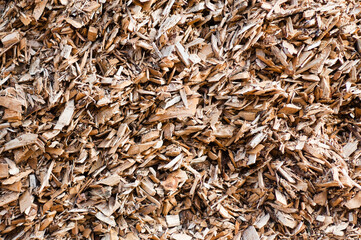 Fototapeta premium close-up of brown and yellow wood chips