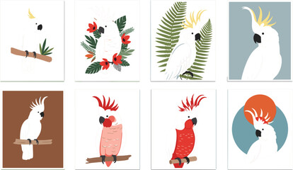 Set of Cute Cockatoo and Parrot Illustrations Featuring Tropical Birds, Floral Elements, and Decorative Card Designs © MDShakhawat