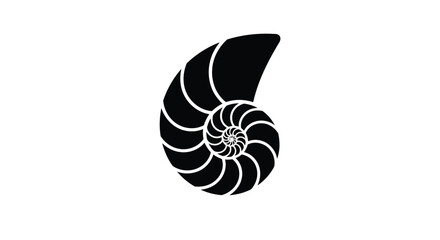 A black nautilus shell with a spiral design © NurJahan