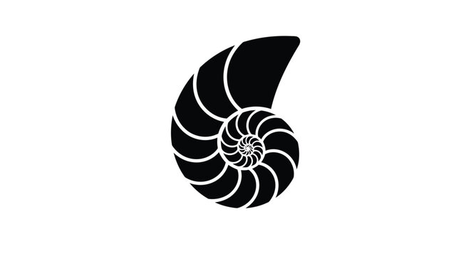 A black nautilus shell with a spiral design