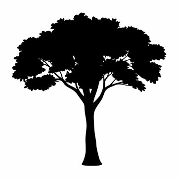 Tree of tamarind in solid black silhouette