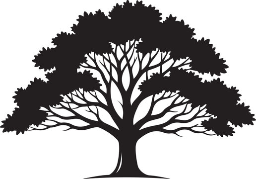 Tree silhouette, black tree icon, tree vector, leafy tree shape