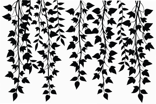 hanging ivy vine patterns leaves silhouette line art vector illustration
