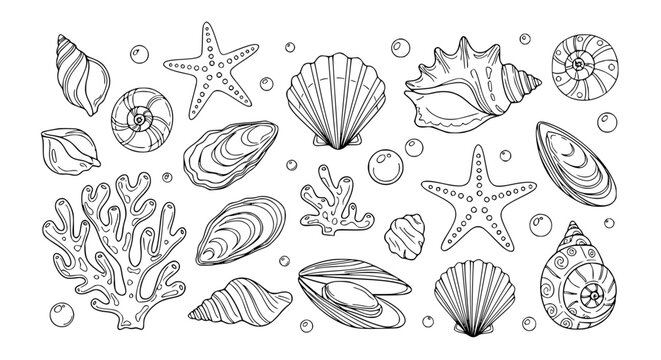 Marine seashell doodle vector set line art ocean shells coral starfish pearl illustration