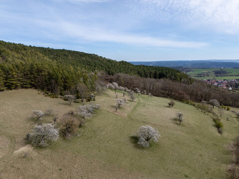 Streuobstwiese Luftaufnahme Kirschbl&uuml;te im Saale-Holzland-Kreis bei Dienst&auml;dt