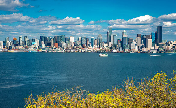 Northwest City Skyline 3