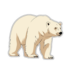 Fototapeta premium A sturdy polar bear standing gracefully on a white background. sticker
