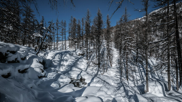 Snowshoeing in the Clar&eacute;e valley in winter - France
