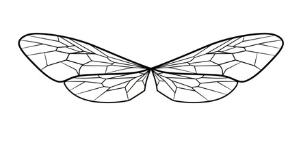 Geometric insect wings illustration on a white background © Melatunz