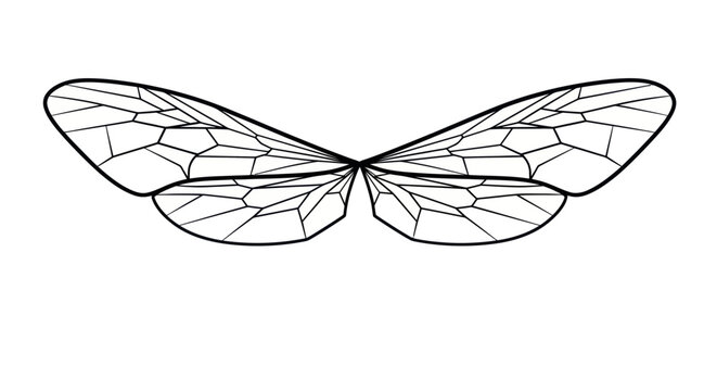 Geometric insect wings illustration on a white background