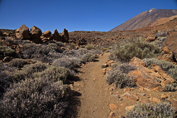 Fototapeta premium Hiking track 