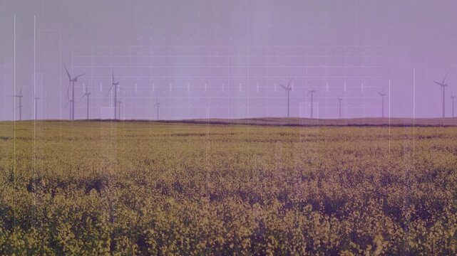 Breeze starting, canola swaying while turbines rotating and scanlines appearing, showing mauve tint