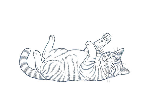 A stylized typographic representation of the word choice featuring a unique and creative design isolated on transparent background