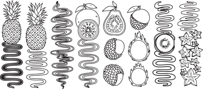 Traditional celtic knotwork and spiral designs in black and white Vector