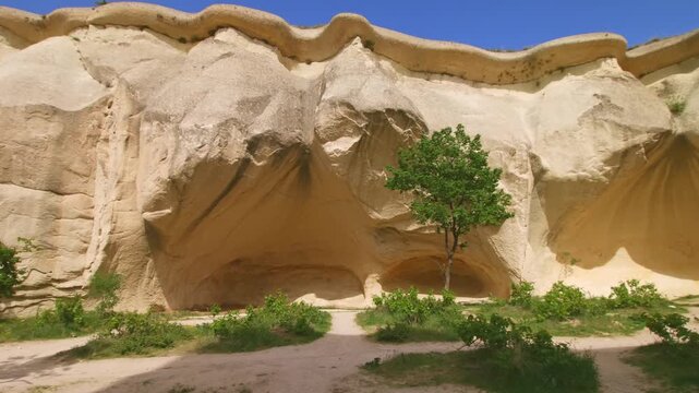 A wide shot of the iconic, wind-eroded volcanic tuff rock formations and ancient carved cave shelters in Pasabag Monks Valley, located within the Goreme National Park, Cappadocia, Turkey.